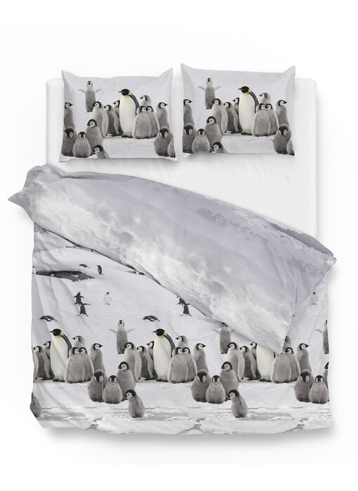Zo! Home Flanel Tadzio (White)