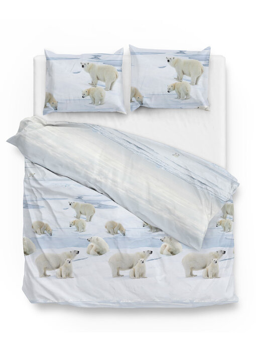 Zo! Home Flanel Ber (Blue)