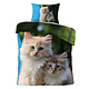 iSleep Kittens (Multi)
