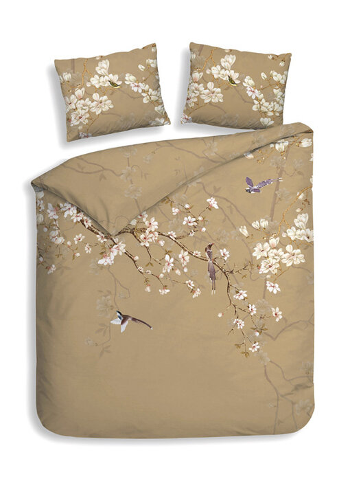 Heckettlane Asahi (Beige)