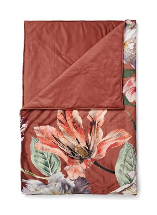 Essenza Sprei Filou (Shell Brown)