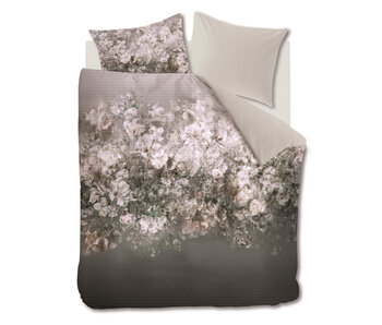 Kardol Patiencia (Grey)