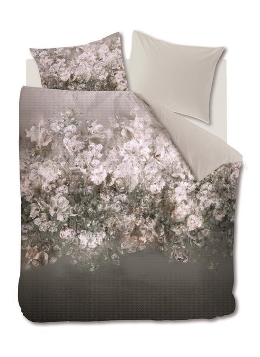 Kardol Patiencia (Grey)