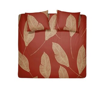 Damai Strelitzia (Red Gold)