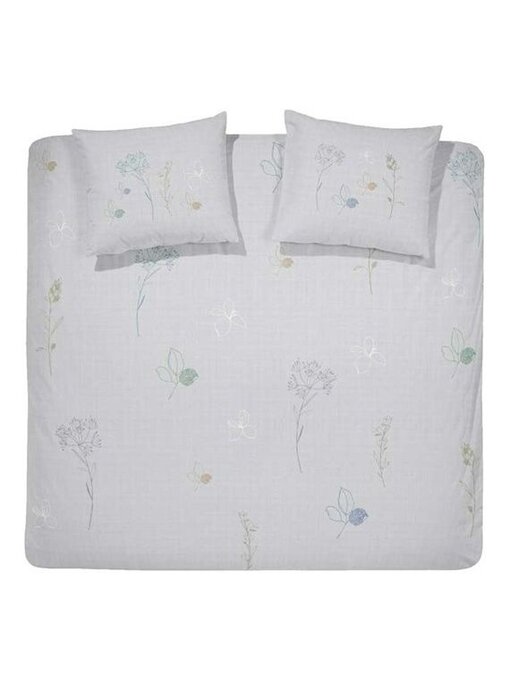 Cinderella Allium (Nimbus Grey)
