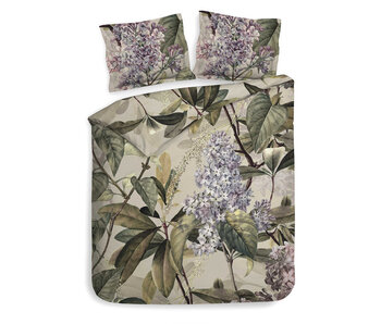Heckettlane Jazmin (Green)