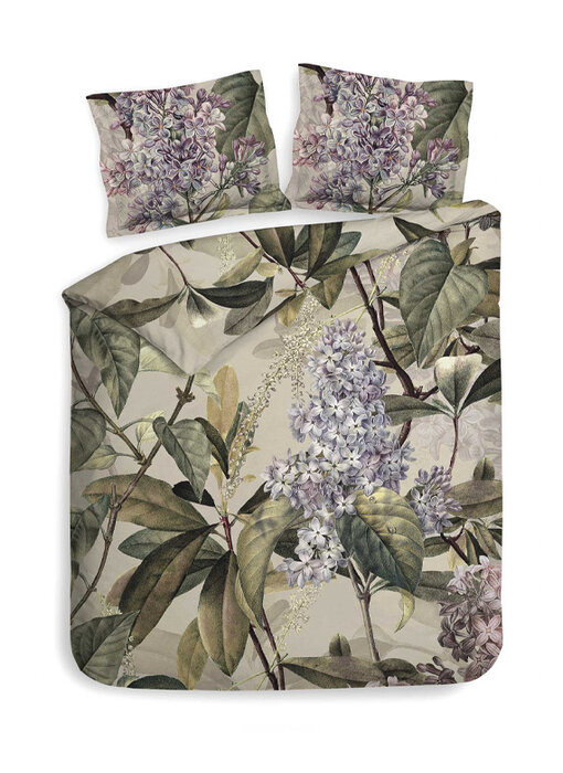 Heckettlane Jazmin (Green)