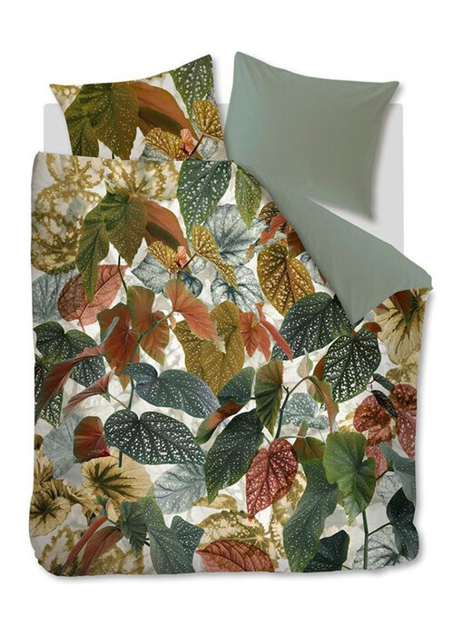 Beddinghouse Begonia (Green)
