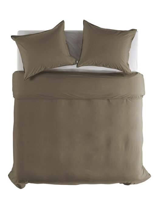 Yellow Percale (Pine Taupe)