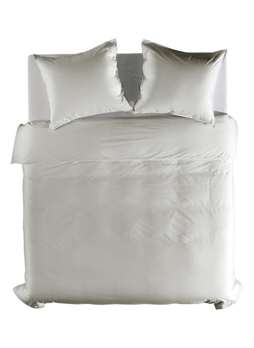 Yellow Percale (Tender Grey)