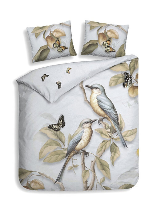 Heckettlane Daina (Light Blue)