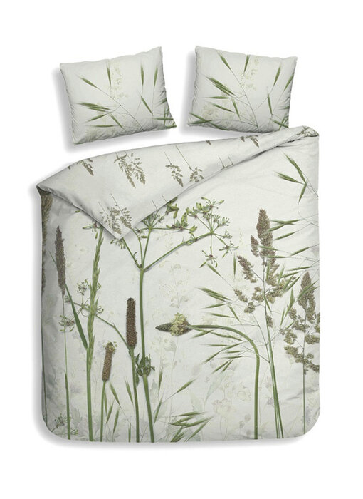 Heckettlane Ona (Green)