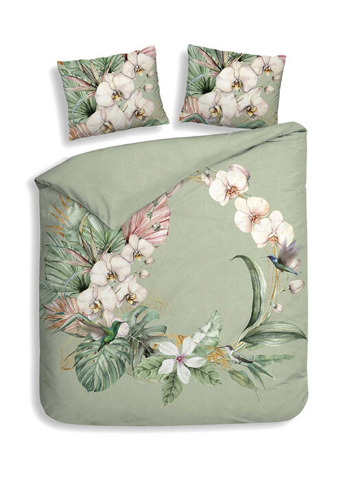 Heckettlane Ana (Green)
