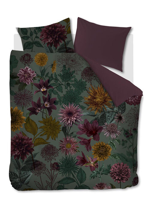 Beddinghouse Dahlias (Multi)