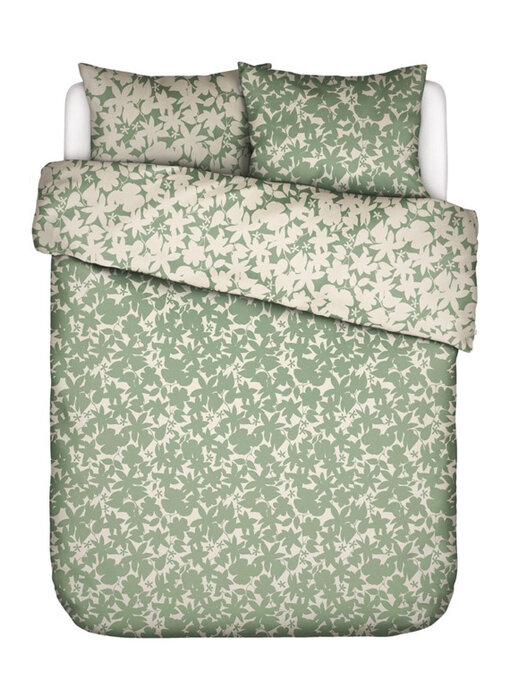 Essenza Sora (Greenish)