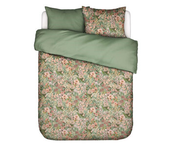 Essenza Noleste (Greenish)