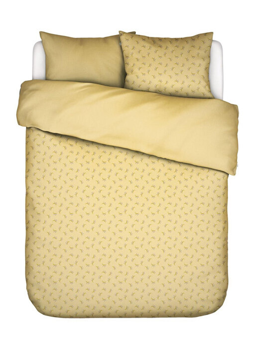 Essenza & Co Lily Melody (Lemon Yellow)