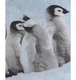 Zo! Home Zo! Home Flanel dekbedovertrek Pingu (White)