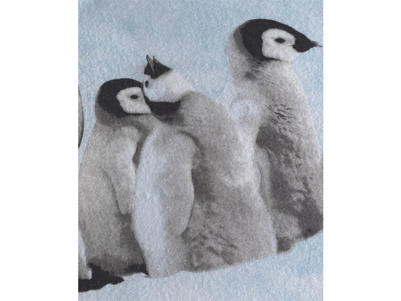 Zo! Home Zo! Home Flanel dekbedovertrek Pingu (White)
