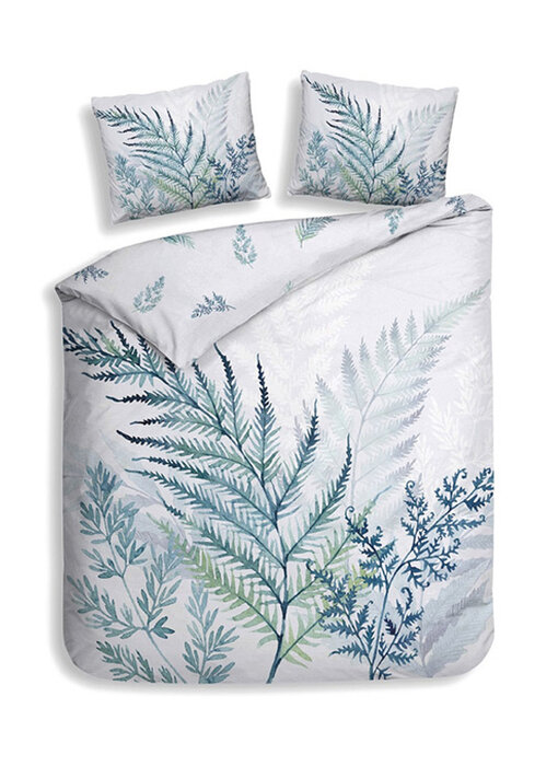 Heckettlane Hailee (White)