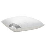 iSleep iSleep Donzen Hoofdussen (15% Eendendons)