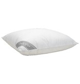 iSleep iSleep Donzen Hoofdkussen (60% Eendendons)