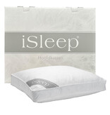 iSleep iSleep Donzen Boxkussen (60% Eendendons)