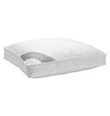 iSleep iSleep Donzen Boxkussen (100% Eendendons)