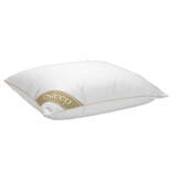iSleep iSleep Donzen Hoofdkussen (100% Ganzendons)