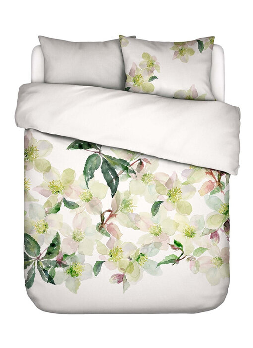 Essenza Hellea (White)