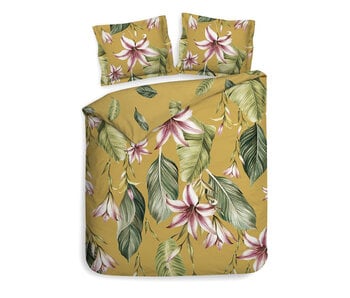Heckettlane Lilie (Yellow)