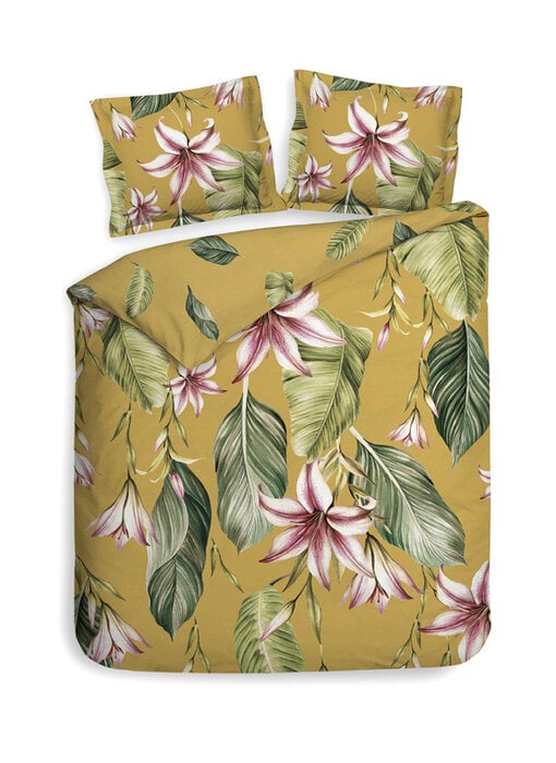 Heckettlane Lilie (Yellow)