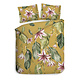 Heckettlane Lilie (Yellow)