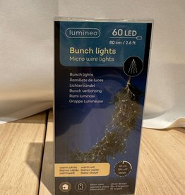 Bündel Lichterkette 60 LED - 80 cm