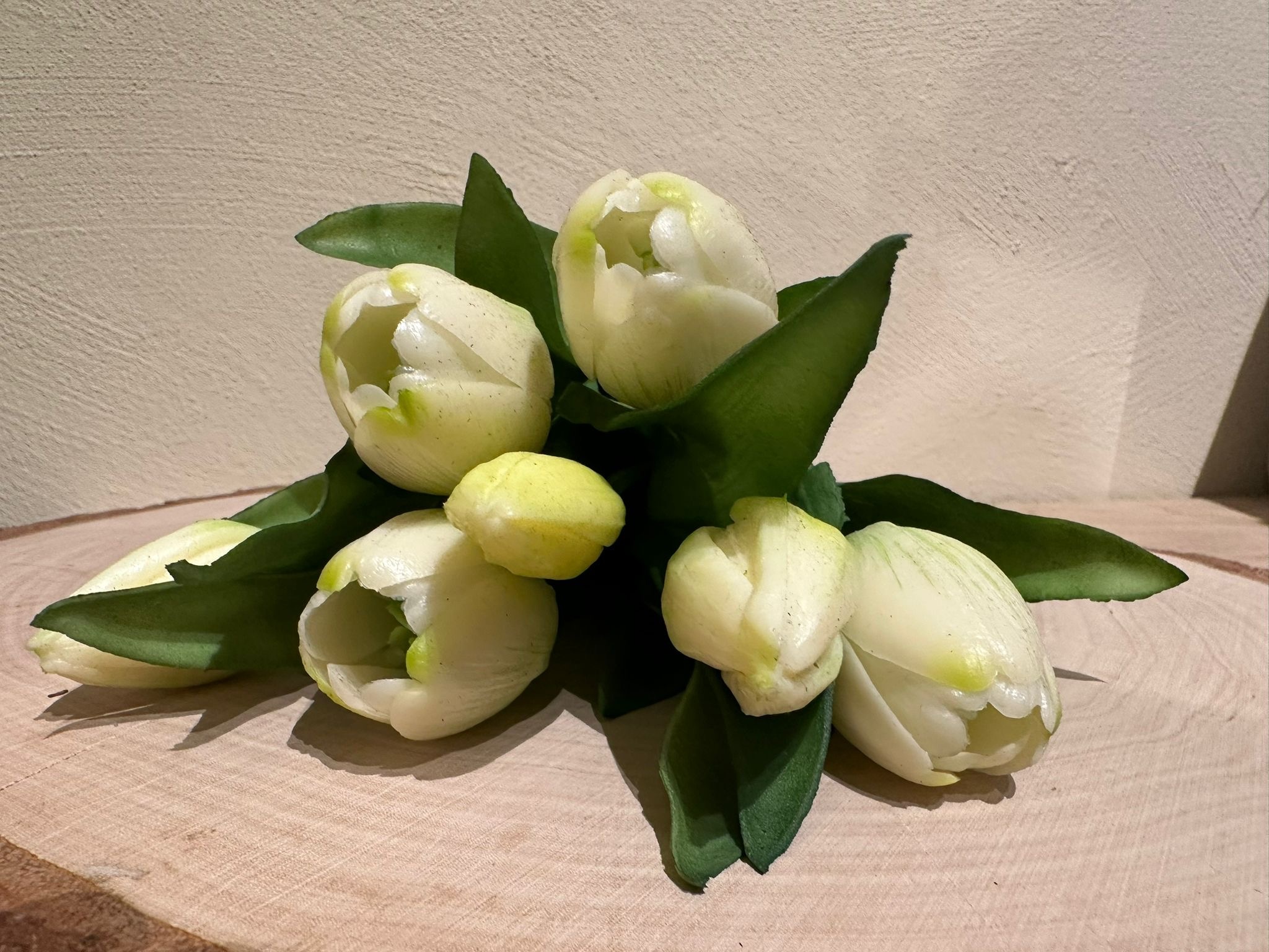 Latex Tulpen weiß