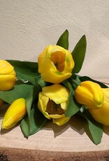 Latex Tulpen gelb