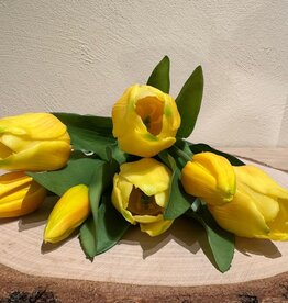 Latex Tulpen gelb