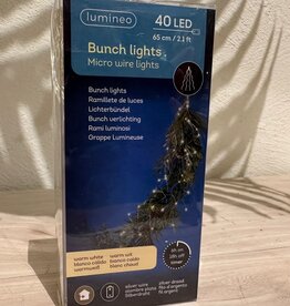 Bündel Lichterkette -40 LED'S  - 65 cm
