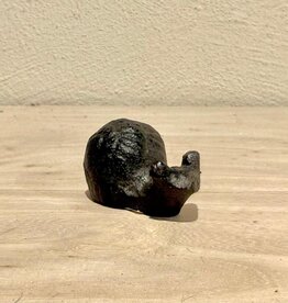Lummi Schnecke