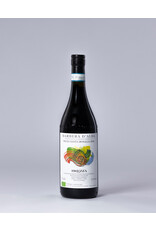 Brezza Barbera d'Alba Vigna Santa Rosalia 2021