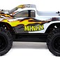 HSP Radiografische Monster truck Minizi 4WD 1:18