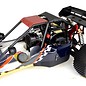 Amewi Benzine RC Buggy Pitbull X 2WD 1:5