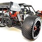 Amewi Benzine RC Buggy Pitbull X 2WD 1:5