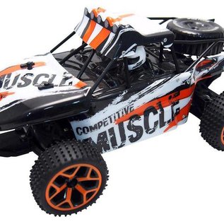 Amewi Rc Sand Buggy Dive 1:18