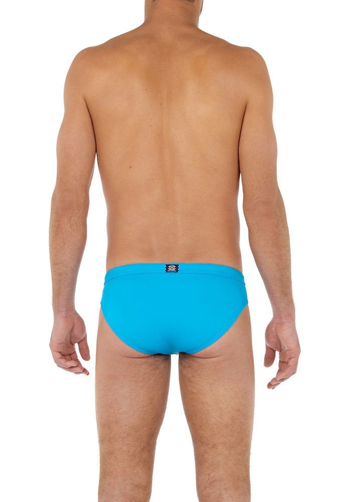 Trunk HOM Plumes (Turquoise)