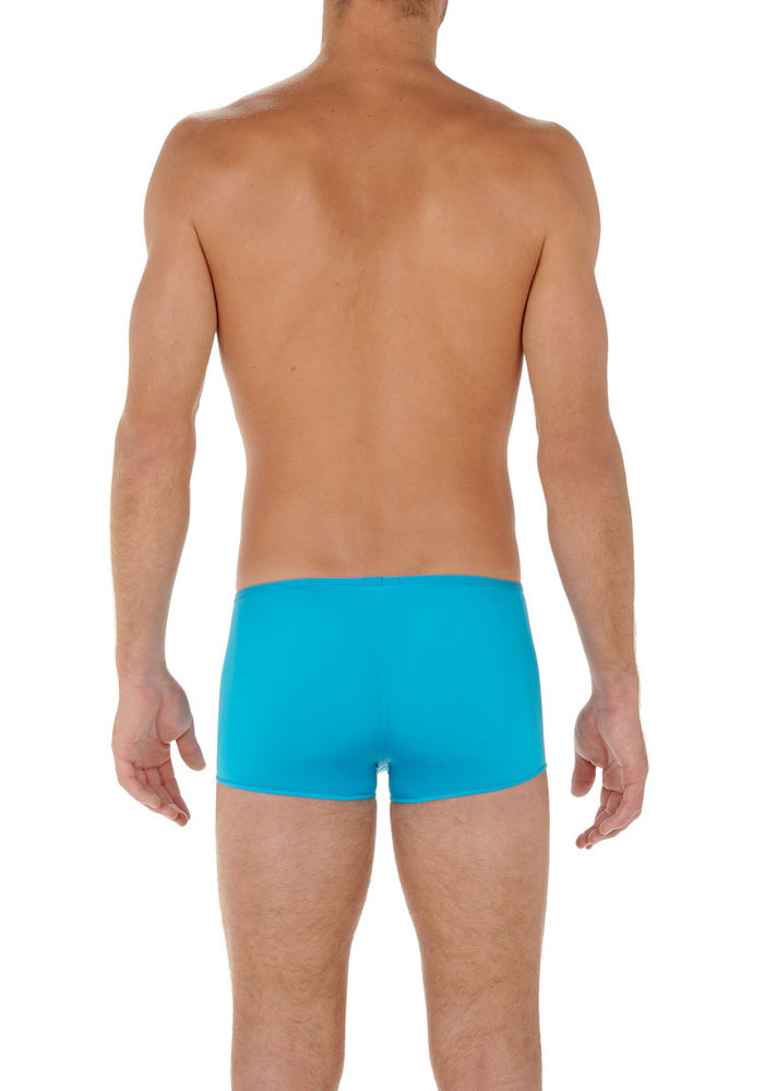 Trunk HOM Plumes (Turquoise)