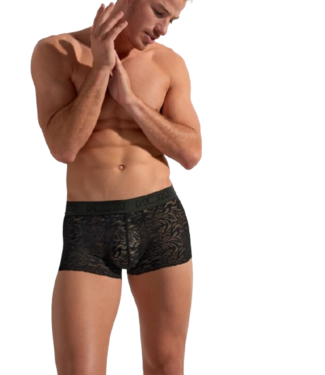 HOM Free Cut Lace Trunk Black
