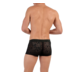 HOM Free Cut Lace Trunk Black (Pre-order Januari 2026)