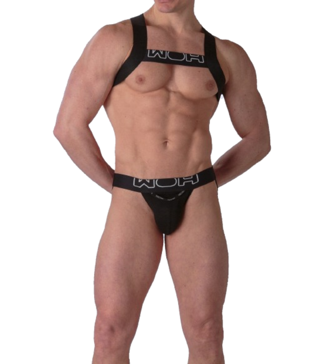 WOH Sexy Fun Harness Black