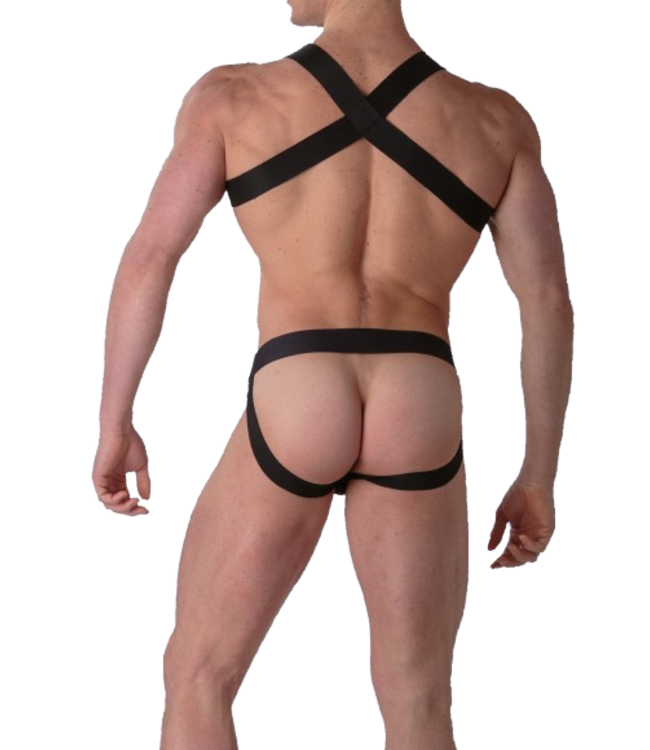 WOH Sexy Fun Harness Black